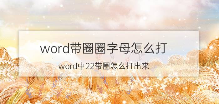 word带圈圈字母怎么打 word中22带圈怎么打出来？